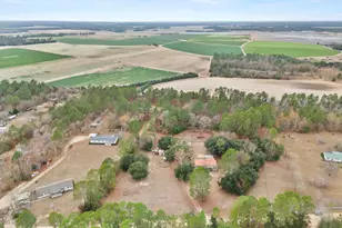 278 Megill Dr, Pelion, SC 29123 - Photo 38