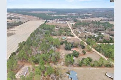 278 Megill Drive, Pelion, SC 29123 - Photo 44