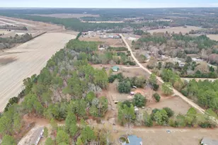 278 Megill Dr, Pelion, SC 29123 - Photo 44