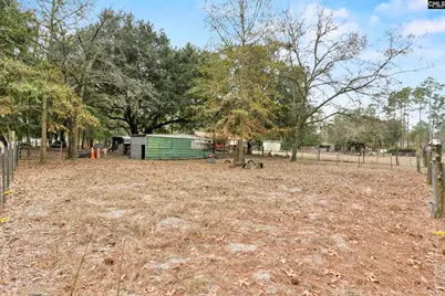 278 Megill Drive, Pelion, SC 29123 - Photo 26