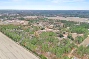 278 Megill Dr, Pelion, SC 29123 - Photo 40