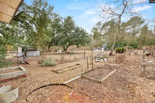 278 Megill Dr, Pelion, SC 29123 - Photo 32