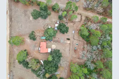 278 Megill Drive, Pelion, SC 29123 - Photo 40