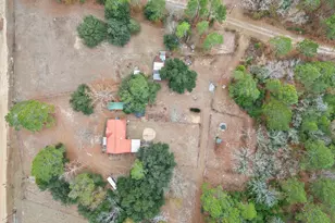 278 Megill Dr, Pelion, SC 29123 - Photo 40