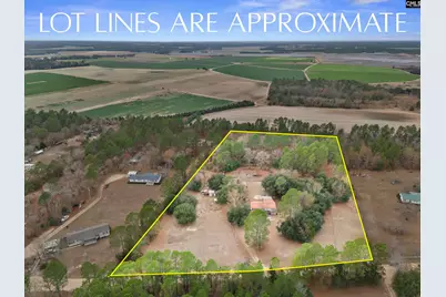 278 Megill Drive, Pelion, SC 29123 - Photo 34