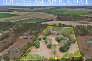 278 Megill Dr, Pelion, SC 29123 - Photo 34