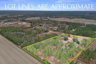 278 Megill Dr, Pelion, SC 29123 - Photo 36