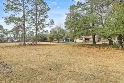 278 Megill Drive, Pelion, SC 29123 - Photo 30