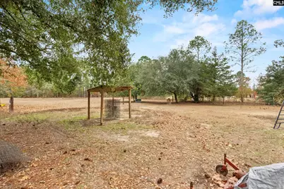 278 Megill Drive, Pelion, SC 29123 - Photo 34