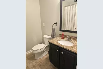 410 Riglaw Circle, Lexington, SC 29073 - Photo 32
