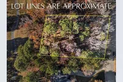 126 Lake Summit Drive, Chapin, SC 29036 - Photo 2