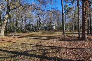 2 Carl Weed Ct, Columbia, SC 29212 - Photo 70