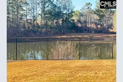 417 Buckthorne Drive, Lexington, SC 29072 - Photo 32