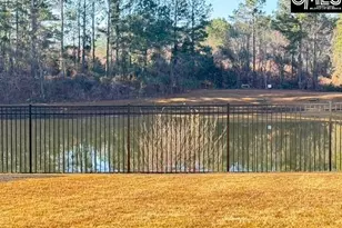 417 Buckthorne Dr, Lexington, SC 29072 - Photo 32