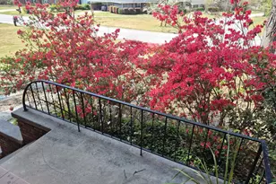 1326 Cedar Terrace, Columbia, SC 29209 - Photo 2