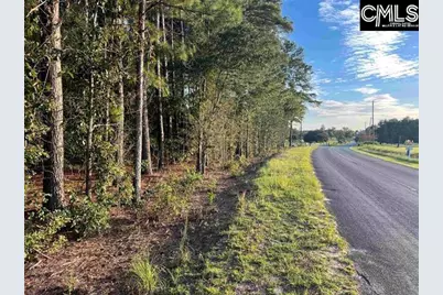 0 Tindal Road #1, Pelion, SC 29123 - Photo 4