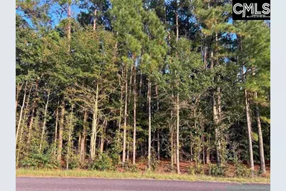 0 Tindal Road #3, Pelion, SC 29123 - Photo 8