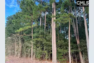 0 Tindal Road #3, Pelion, SC 29123 - Photo 6