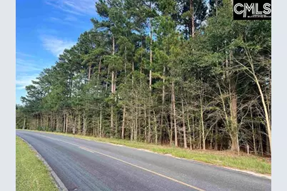 0 Tindal Road #2, Pelion, SC 29123 - Photo 2