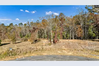 Ferry Phil Court #335, Prosperity, SC 29127 - Photo 6