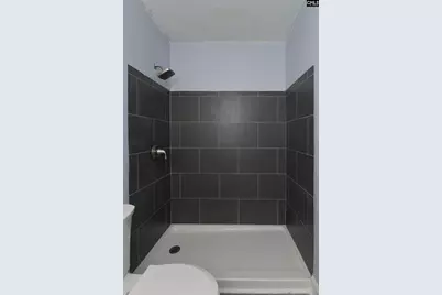 509 Burnside Drive, Columbia, SC 29209 - Photo 30