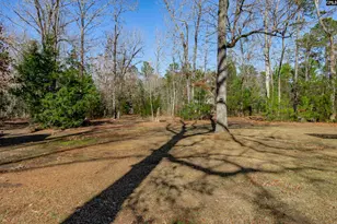 540 Lake Shore Dr, Chapin, SC 29036 - Photo 46