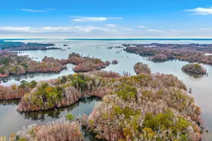 12785 Old Number Six Hwy, Eutawville, SC 29048 - Photo 48