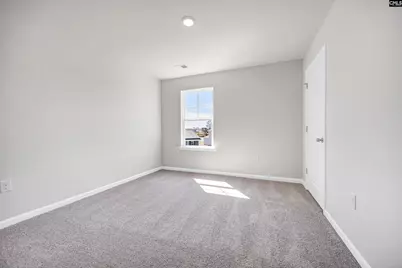 166 Ruby Prince Road, Gilbert, SC 29054 - Photo 20