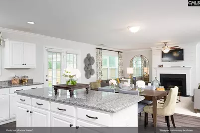 14 Crosby Lane, Blythewood, SC 29016 - Photo 10
