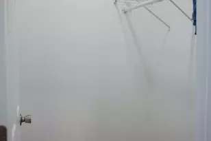 357 Wilson St, Batesburg, SC 29006 - Photo 12