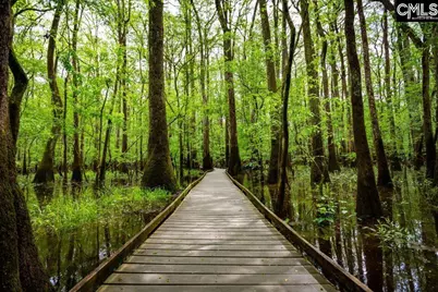 250 Wheat Farm Road, Columbia, SC 29209 - Photo 38