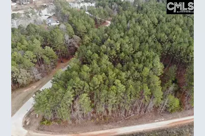 Lot 104 Pineland Road #Lot 104, Chappells, SC 29037 - Photo 24