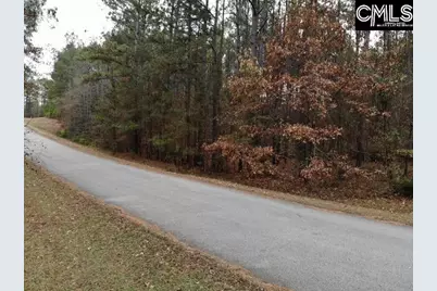 Lot 104 Pineland Road #Lot 104, Chappells, SC 29037 - Photo 6