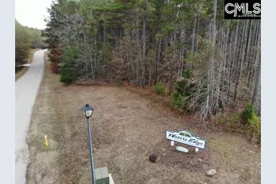 Lot 104 Pineland Road #Lot 104, Chappells, SC 29037 - Photo 8