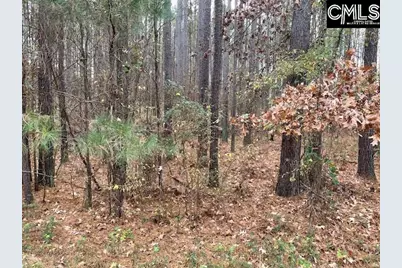 Lot 104 Pineland Road #Lot 104, Chappells, SC 29037 - Photo 16
