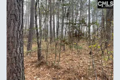 Lot 104 Pineland Road #Lot 104, Chappells, SC 29037 - Photo 14
