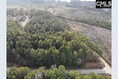 Lot 104 Pineland Road #Lot 104, Chappells, SC 29037 - Photo 22