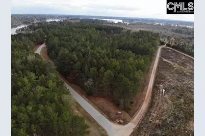 Lot 104 Pineland Road #Lot 104, Chappells, SC 29037 - Photo 10