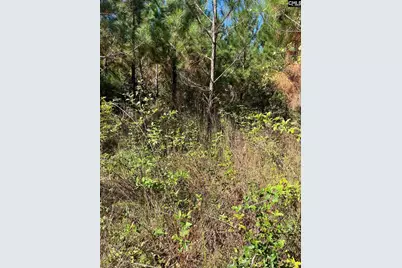 Bff 1D Jc Barefoot Road Bff 1D #BFF 1B, Patrick, SC 29584 - Photo 12