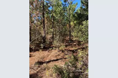 Bff 1D Jc Barefoot Road Bff 1D #BFF 1B, Patrick, SC 29584 - Photo 16