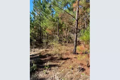 Bff 1D Jc Barefoot Road Bff 1D #BFF 1B, Patrick, SC 29584 - Photo 14