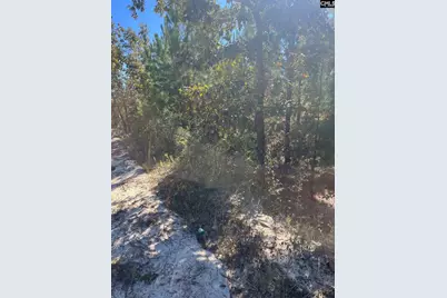 Bff 1D Jc Barefoot Road Bff 1D #BFF 1B, Patrick, SC 29584 - Photo 26