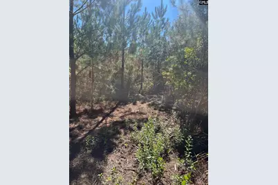 Bff 1D Jc Barefoot Road Bff 1D #BFF 1B, Patrick, SC 29584 - Photo 4