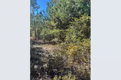 Bff 1D Jc Barefoot Road Bff 1D #BFF 1B, Patrick, SC 29584 - Photo 28