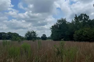 Bhl 7 Boise Cascade Road Bhl 7, Bethune, SC 29009 - Photo 10