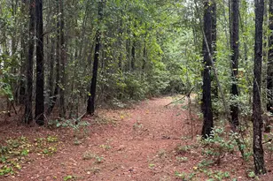 Bhl 7 Boise Cascade Road Bhl 7, Bethune, SC 29009 - Photo 14