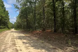 Bhl 7 Boise Cascade Road Bhl 7, Bethune, SC 29009 - Photo 4