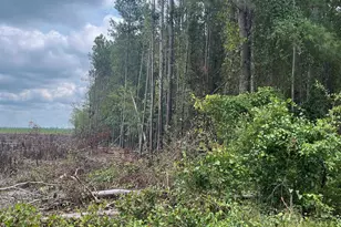 Bhl 7 Boise Cascade Road Bhl 7, Bethune, SC 29009 - Photo 16