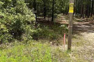 Bhl 7 Boise Cascade Road Bhl 7, Bethune, SC 29009 - Photo 2