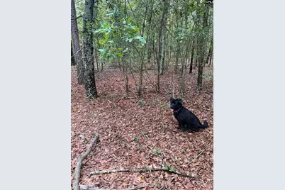 Bhl 7 Boise Cascade Road Bhl 7, Bethune, SC 29009 - Photo 18